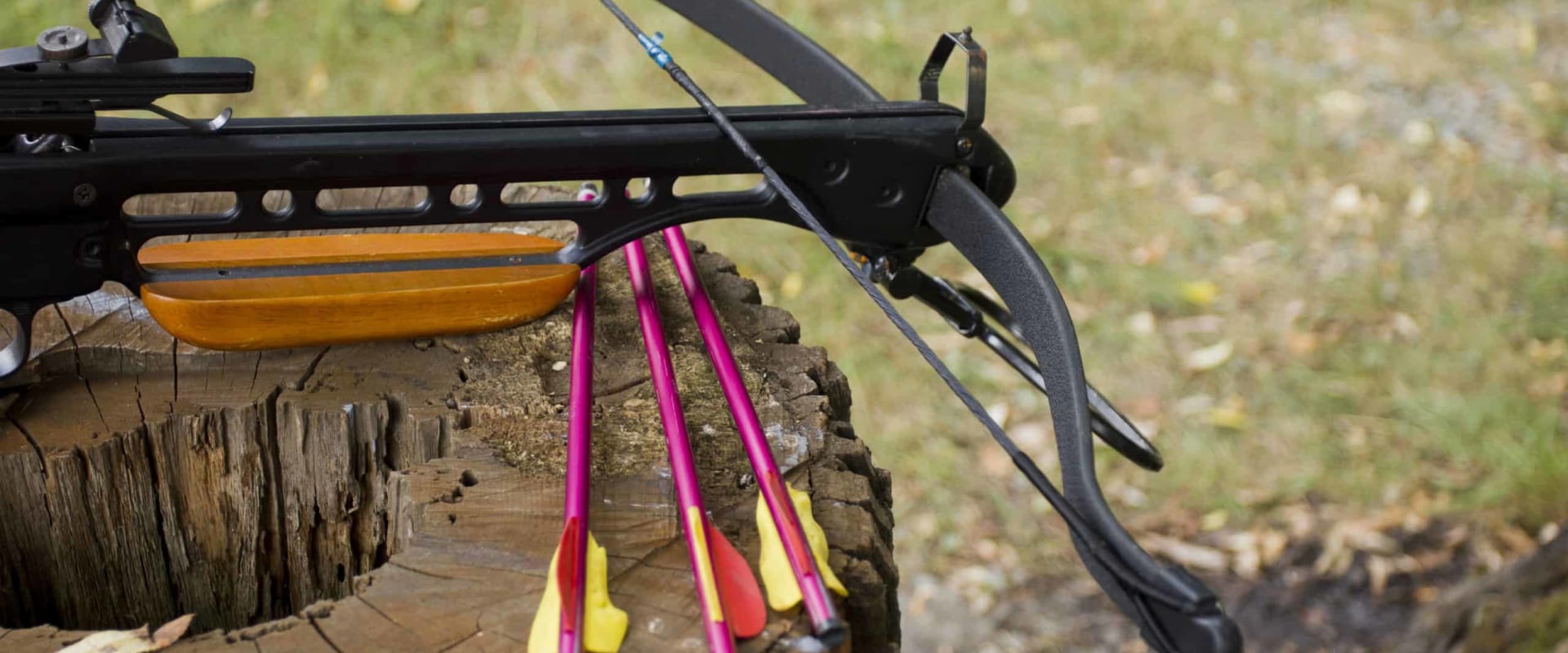 What are the different types of crossbows?